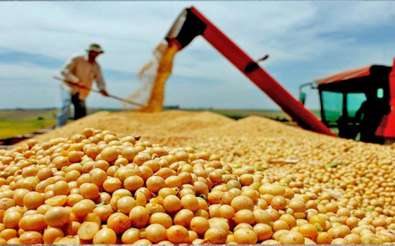 Soja começa semana em alta, mas custo de produção preocupa produtores
