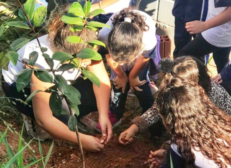 Emef Edméa Sola adere a projeto de arborização e envolve estudantes em atividade