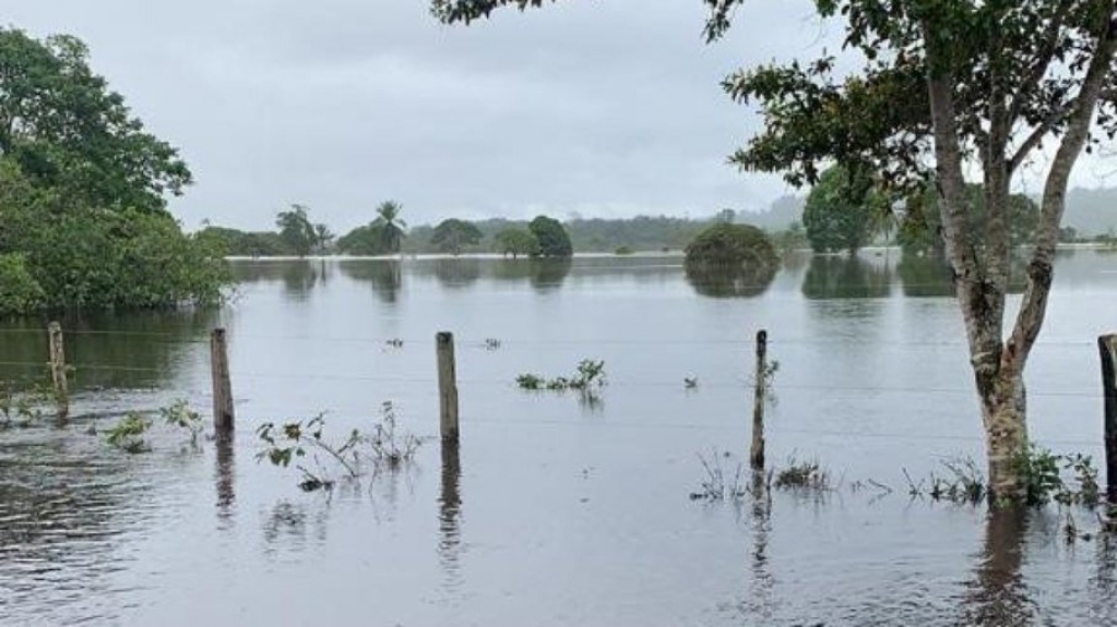 Bahia registra 25 mortes devido às enchentes; 643 mil foram atingidos