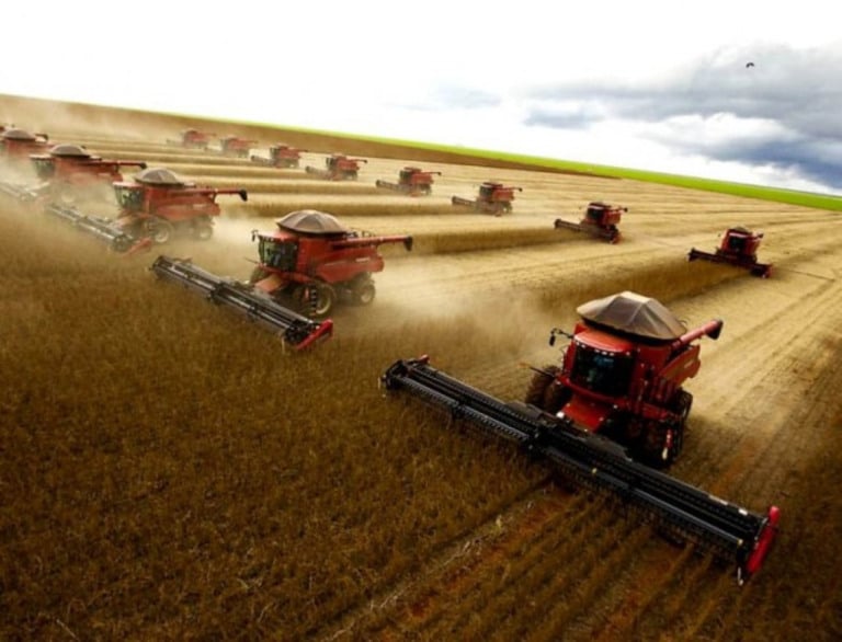 Renda do agronegócio brasileiro deve atingir R$ 1 trilhão em 2023