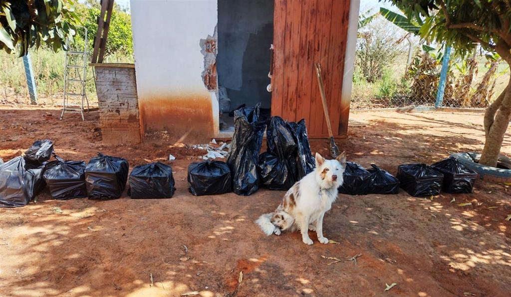 Canil do Baep encontra 230kg de maconha em Tupã; cão Bruce é herói do dia