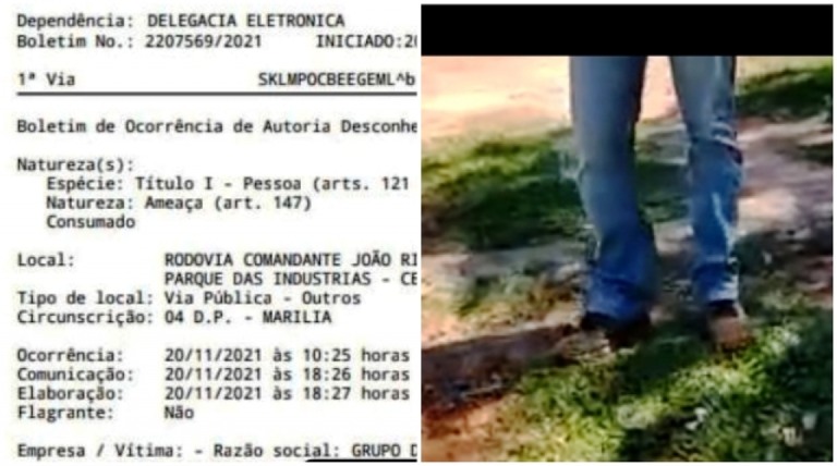 ONG de proteção animal acusa intimidação; abrigo muda visitas em Marília