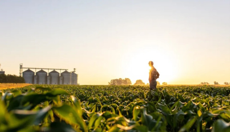 Agronegócio de Minas Gerais bate recordes seguidos e VBP atinge R$ 137 bilhões