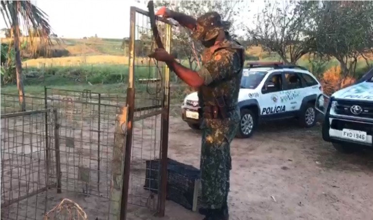 Ambiental prende um, apreende armas e armadilhas; veja fotos e vídeo