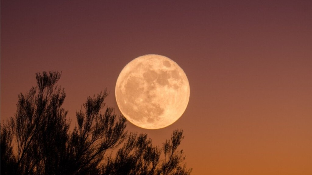 Vanessa Tuleski O que você precisa saber sobre a Superlua de 1º de agosto de 2023