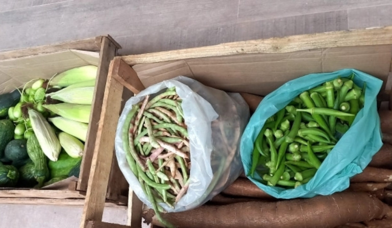 Projeto Agrofloresta doa 60kg de alimentos a família em vulnerabilidade de Marília