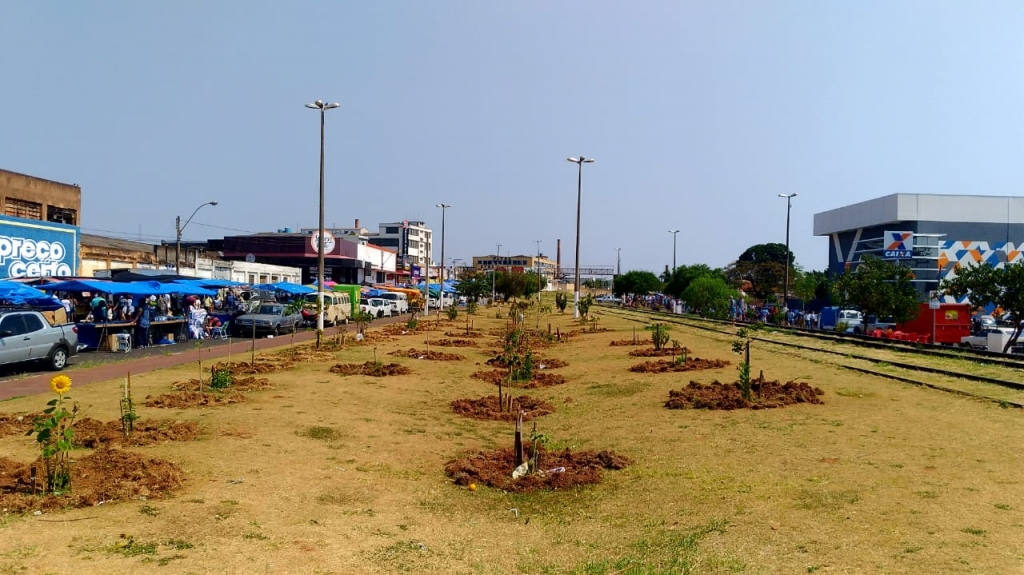 Moradores ampliam ‘parque’ e criam canteiros de flores no centro de Marília