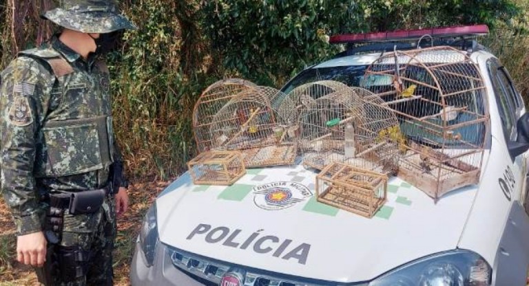 Criador de Garça leva multas de R$ 10,5 mil por cativeiro de pássaros