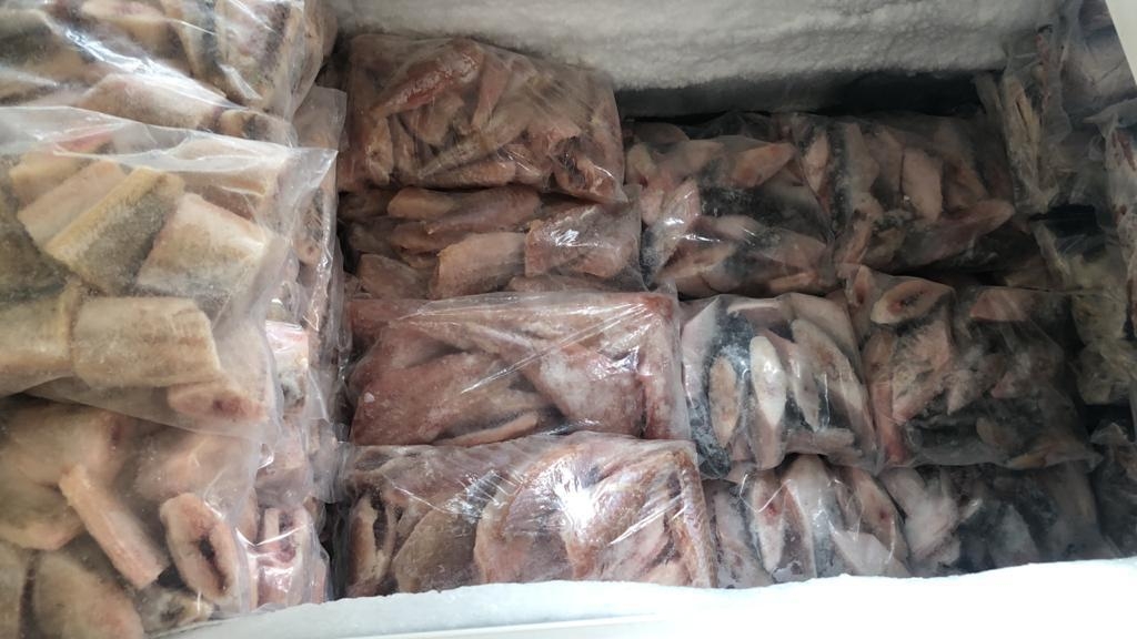 Piracema - Ambiental apreende peixes e doa para entidade em Marília Piracema - Ambiental apreende peixes e doa para entidade em Marília