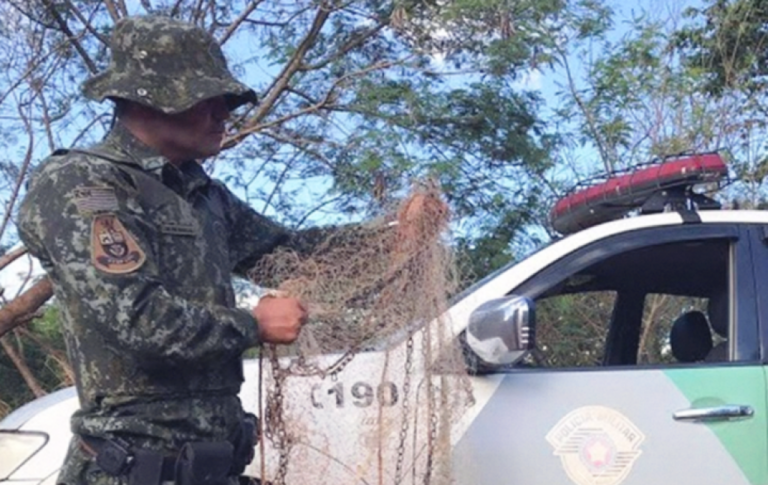 Piracema começa e impõe restrições para pesca; conheça regras no Estado