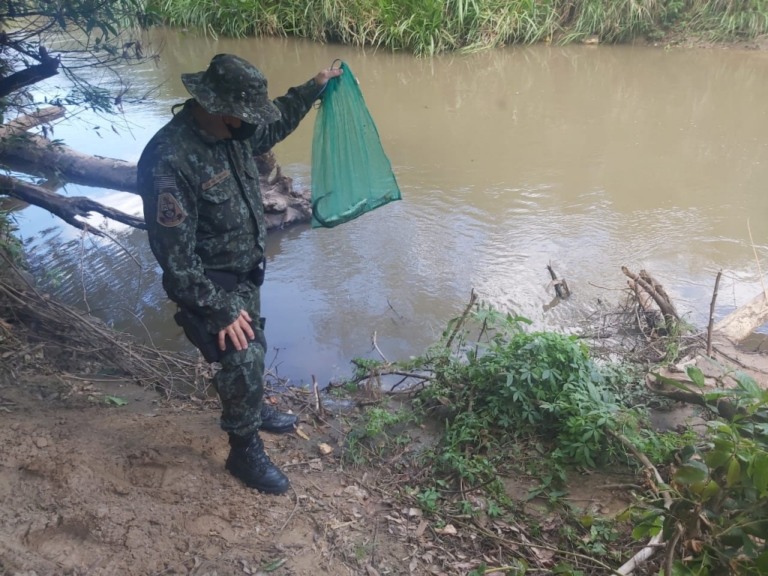 Pescador é multado em Marília com peixes nativos na Piracema