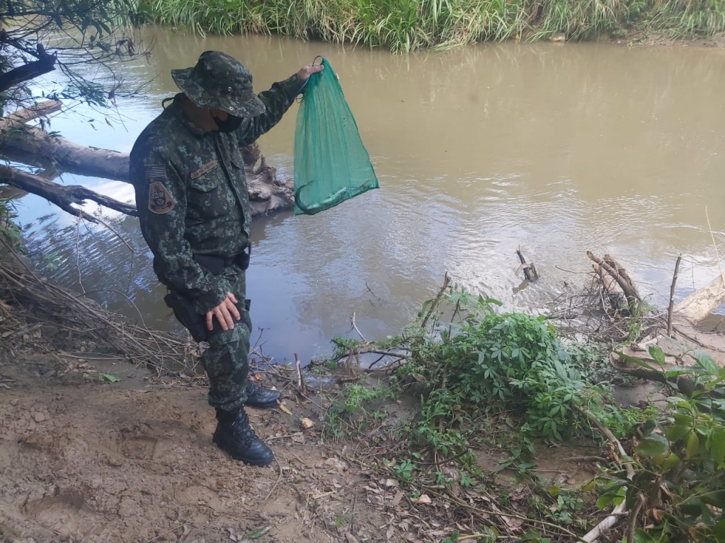 Pescador é multado em Marília com peixes nativos na Piracema