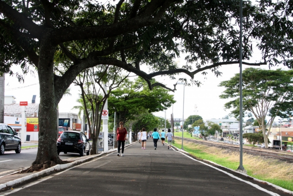 Comitê discute nesta quinta aglomeração em avenidas e medidas no comércio