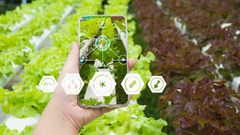 Sistema de rastreabilidade agroindustrial brasileiro ganha conexão global
