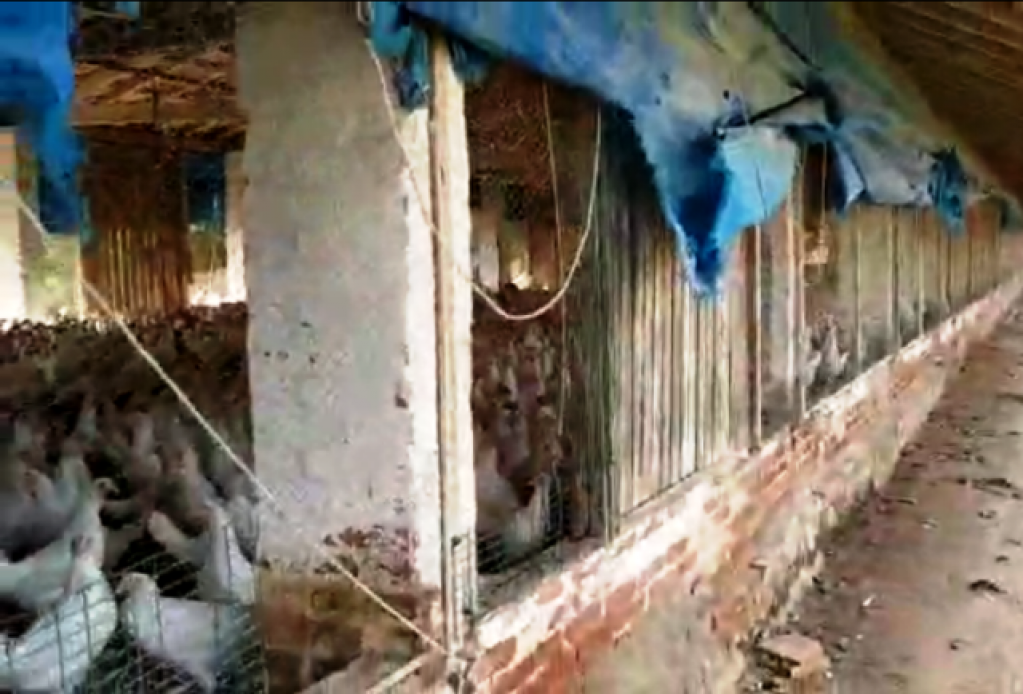 Bairro rural de Pompéia acusa dois dias sem energia e muitos prejuízos