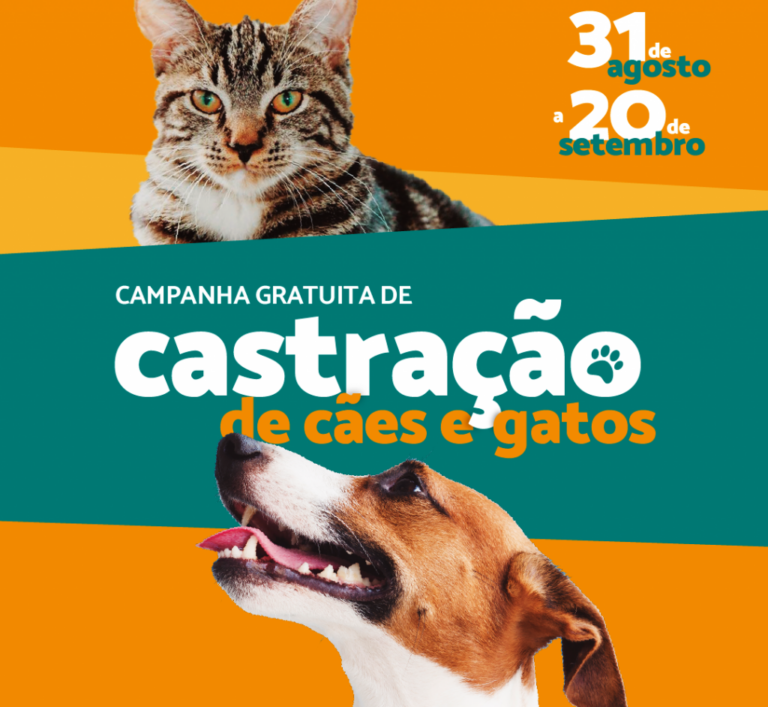 Programa fará castração gratuita de animais vizinhos à SP-333 em Marília
