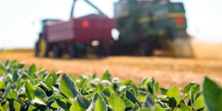 Piauí se destaca com redução de 5% no desmatamento do cerrado e expande área da soja
