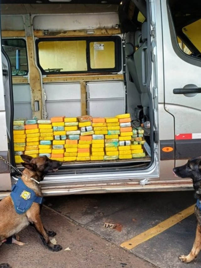 Rota Caipira - Vistoria com cães da PRF encontra 98kg de cocaína em carro; vídeo