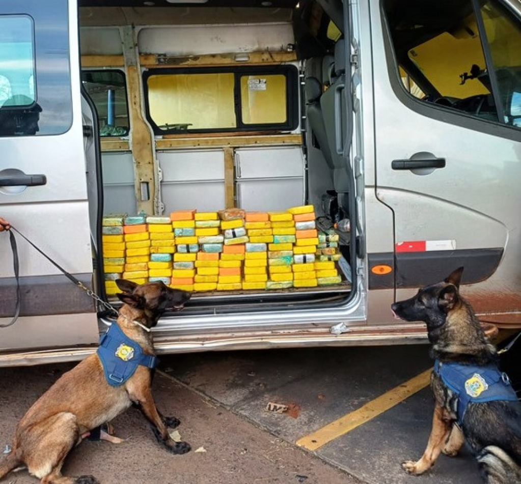 Rota Caipira - Vistoria com cães da PRF encontra 98kg de cocaína em carro; vídeo