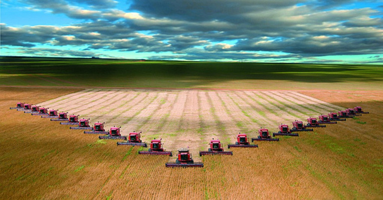 Participação do agronegócio matogrossense na alimentação mundial dobrou em 9 anos