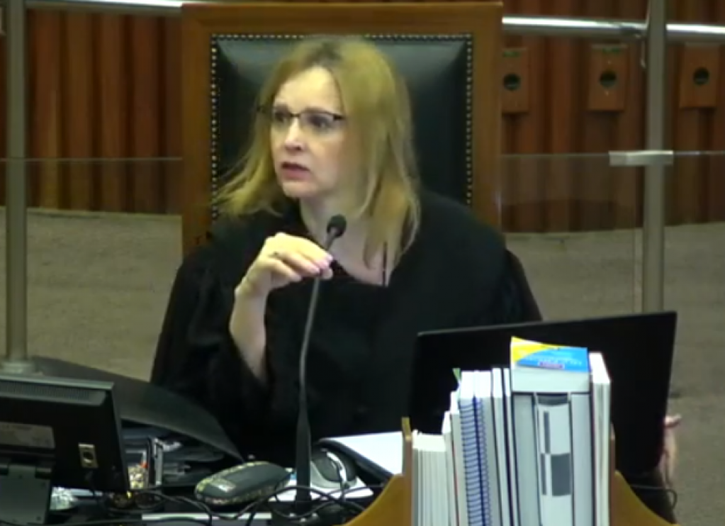 Conselheira Cristiana Moraes, que votou pela reabertura do prazo Conselheira Cristiana Moraes, que votou pela reabertura do prazo