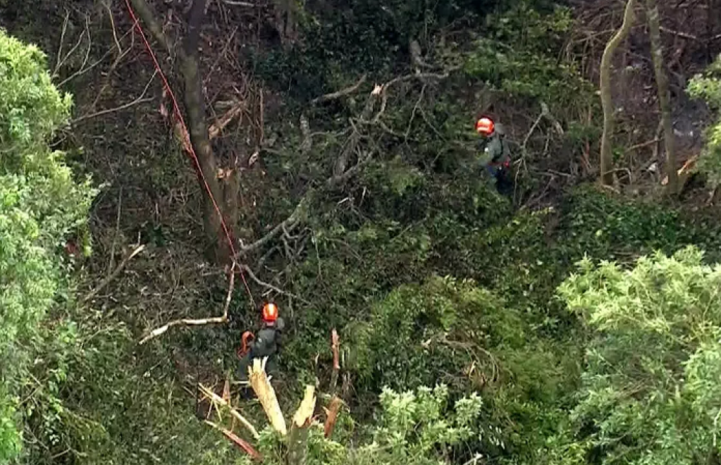 Avião cai em Serra de São Paulo; Bombeiros resgatam corpo e caixa preta