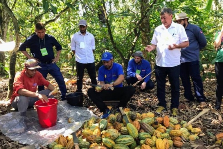 Pará avança na inclusão de produtores rurais nas agroindústrias artesanais