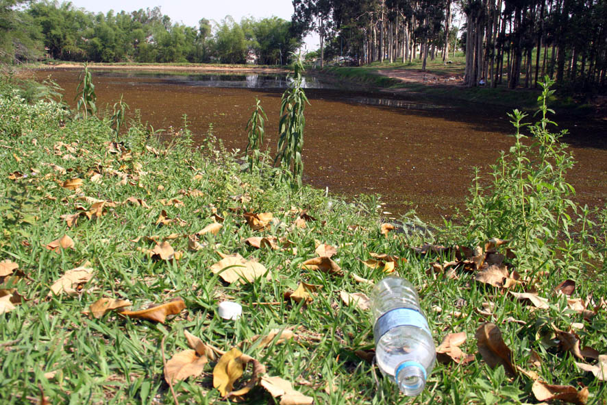 Mutirão no sábado limpa lago do Aquárius