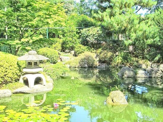 Jardim japonês, em Montevidéu. Foto: Divulgação. Foto: Divulgação