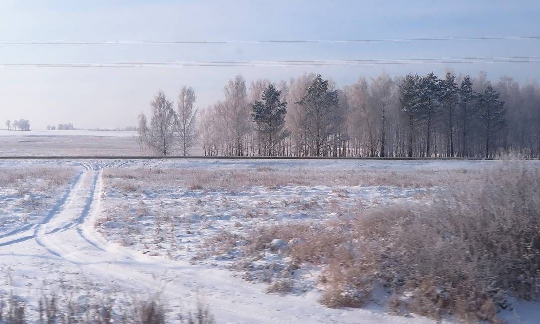 Floresta. Taiga predomina na paisagem ao longo da transiberiana. Foto: Juarez Becoza / Juarez Becoza