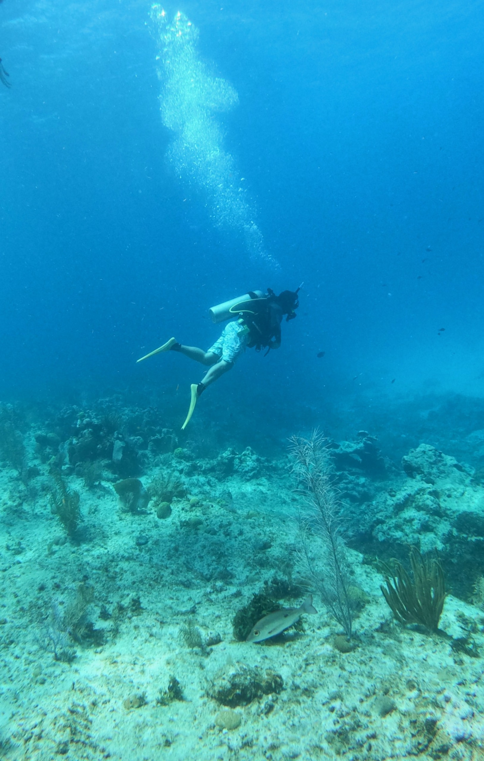 San Andres. Foto: Andres Dallimonti/Unsplash