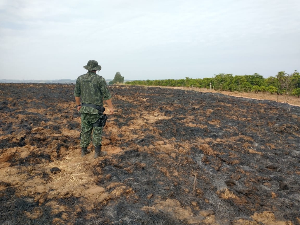 Queimada em sítio de Garça provoca multa de R$ 14,8 mil; satélite ajudou Queimada em sítio de Garça provoca multa de R$ 14,8 mil; satélite ajudou