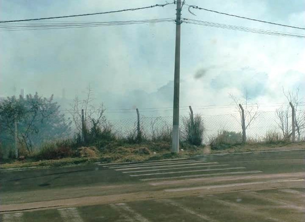 Queimada atinge área de preservação e cria cortina de fumaça em Marília Queimada atinge área de preservação e cria cortina de fumaça em Marília