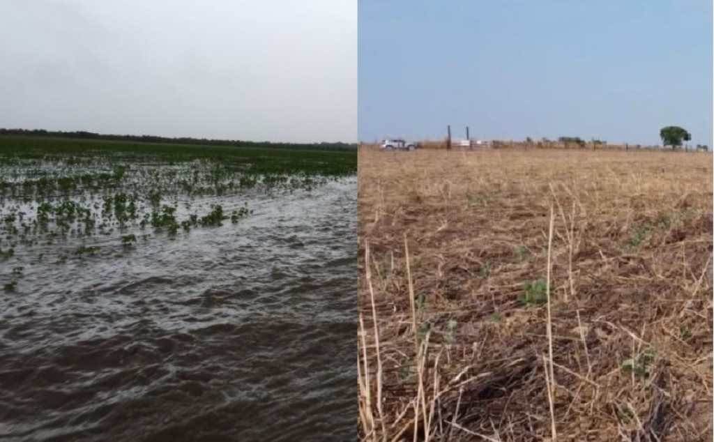 Intempéries climáticas atrasa o plantio da soja e pode prejudicar a produtividade
