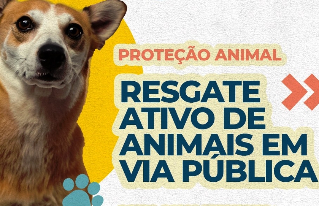 Marília anuncia captura e resgate para animais agressores, em sofrimento ou maus-tratos