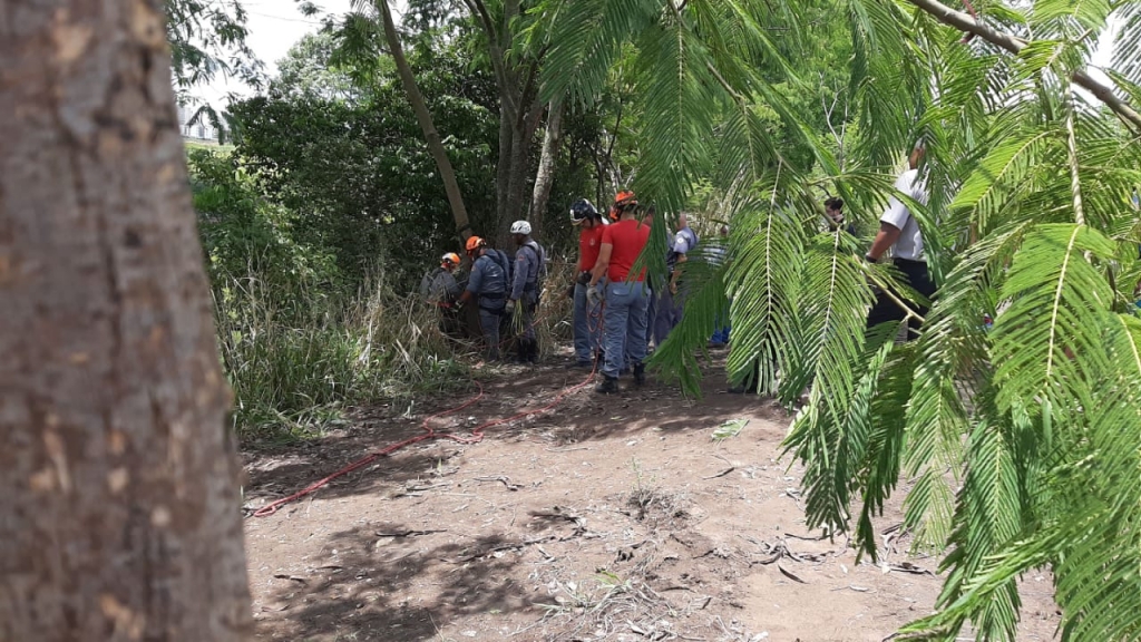 Bombeiros resgatam rapaz morto em vale de Marília; queda seria acidente Bombeiros resgatam rapaz morto em vale de Marília; queda seria acidente