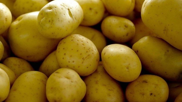 Equipe de Guedes quer isenção de tributos para 'produtos mais básicos'