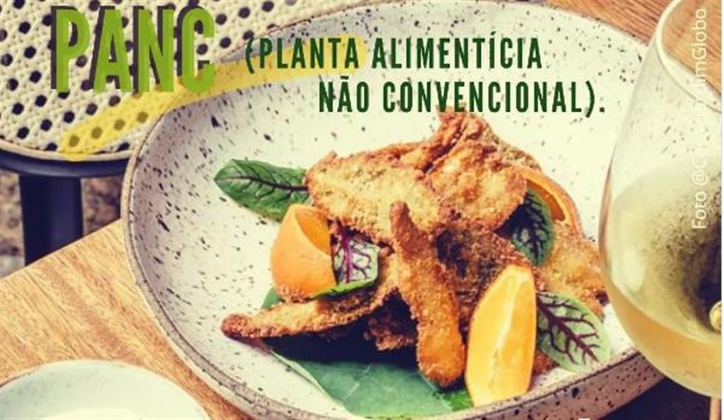 Concurso de Gastronomia vai dar prêmios a receitas com PANCs em Vera Cruz