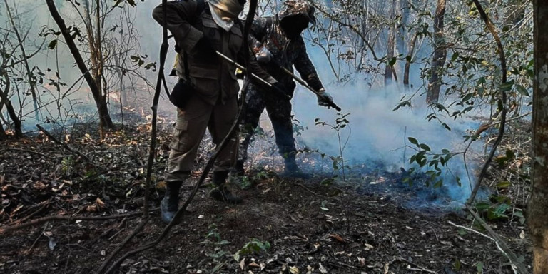 © Força Nacional de Segurança