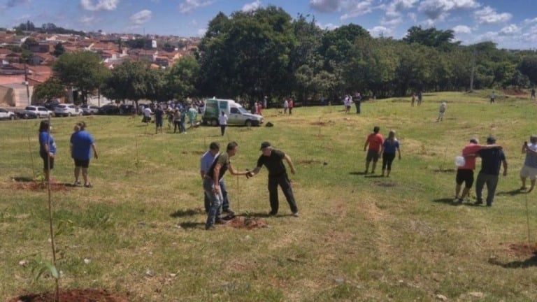 Zona norte terá novo bosque de árvores frutíferas para atrair pássaros