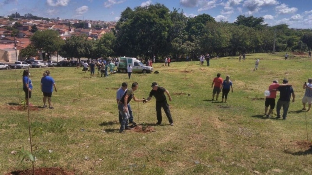 Zona norte terá novo bosque de árvores frutíferas para atrair pássaros