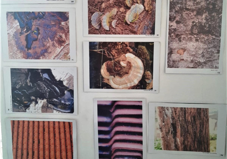 Exposição de fotos mostra visão do mundo por alunos de Emefei em Marília