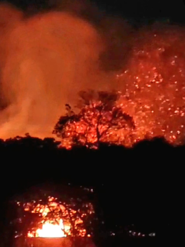 Queimada mobiliza bombeiros e Defesa Civil na zona norte; vídeo