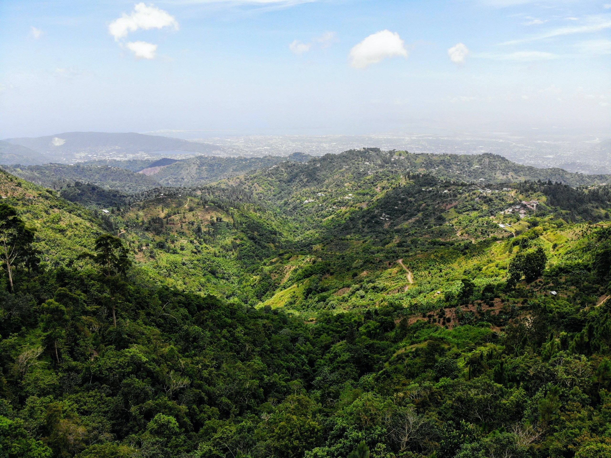 Destino dos famosos: o  reggae e as praias paradisíacas da Jamaica. Foto: yves alarien / unsplash