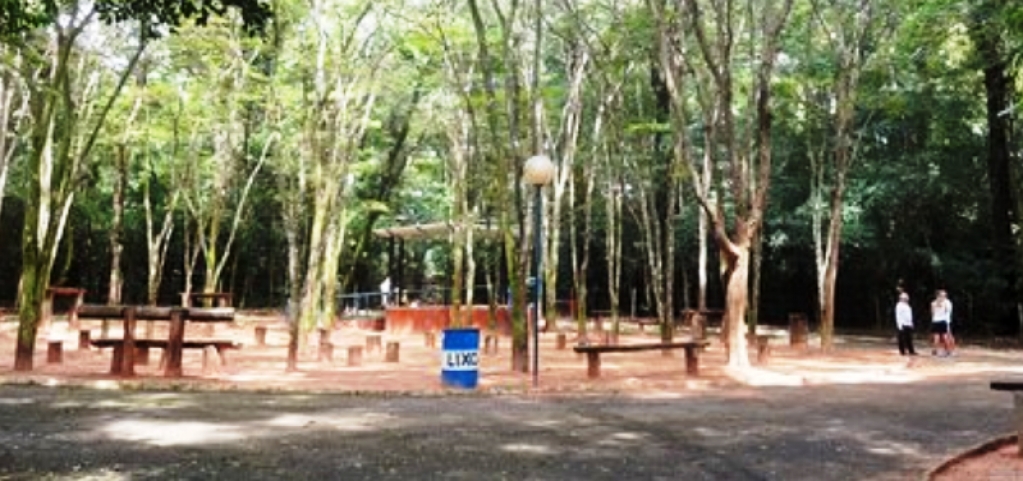 Encontro discute fim do ‘auditório’ no bosque’; deputados criticam abandono