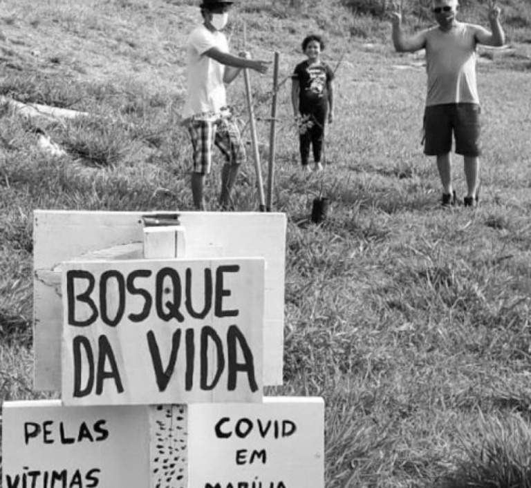 Biblioteca de Marília tem ecologia, dinos e mais em exposições em junho
