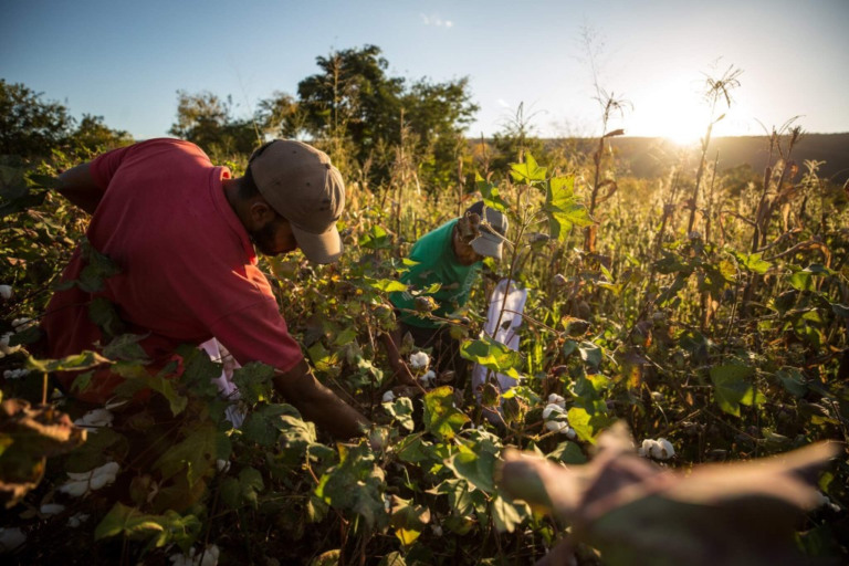 BNDES: projeto que destina R$ 1 bi para beneficiar 250 mil agricultores do nordeste será lançado nesta terça