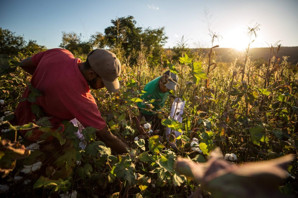 BNDES: projeto que destina R$ 1 bi para beneficiar 250 mil agricultores do nordeste será lançado nesta terça