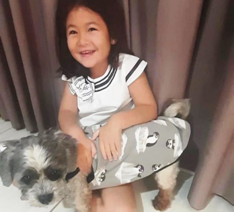 Cachorro desaparecido volta pra casa após resgate e tratamento em Marília
