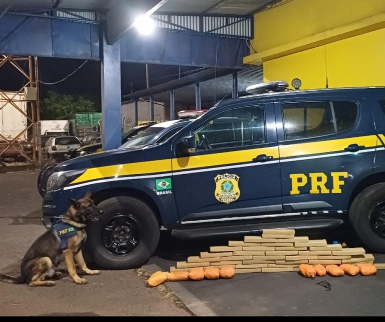 Abordagem com cães encontra 34kg de drogas em malas de passageiro em Ourinhos